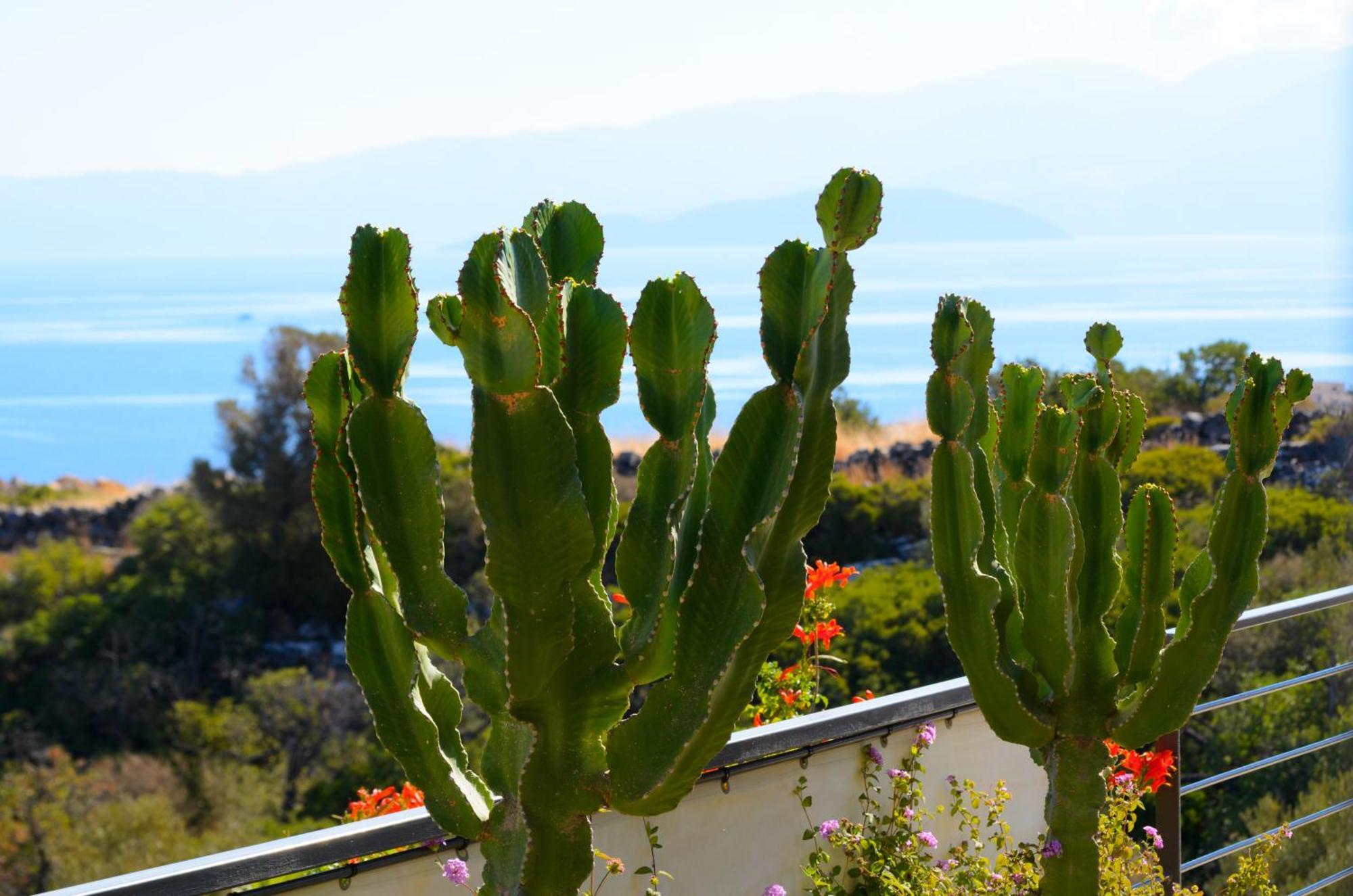 Anemos Elounda Villas Dış mekan fotoğraf